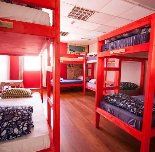 Red Emperor * 탈린