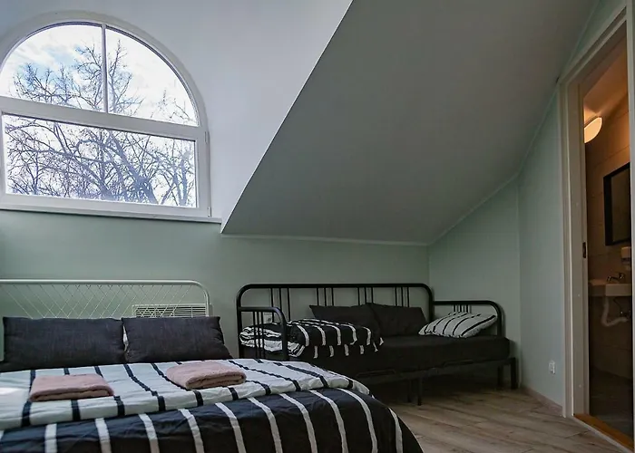 Red Emperor بيت شباب *