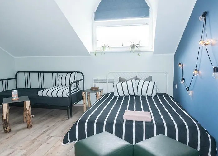 Red Emperor بيت شباب